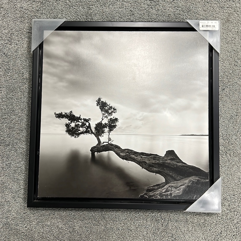 New Framed Art approximately 19 inches square